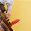 Handyman repair service in Cape Coral, FL for home fixes and improvements